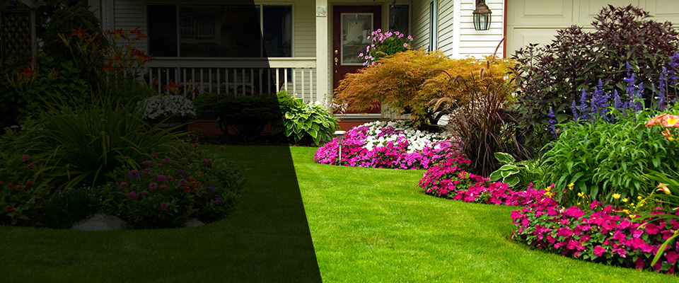 Roseboro Landscapers