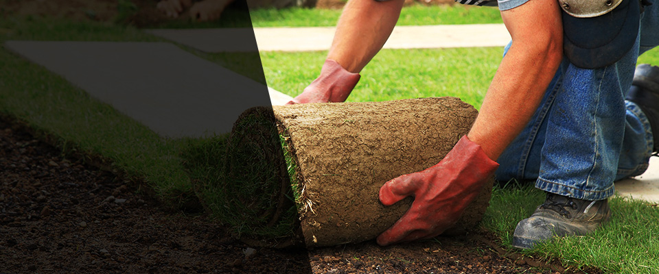 Roseboro Landscapers